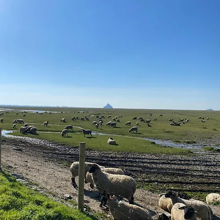Le Relais De La Hardiesse 6km Mont St Michel - D'hotes Et Courtils